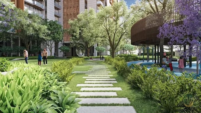 Tulip Crimson Jogging Track