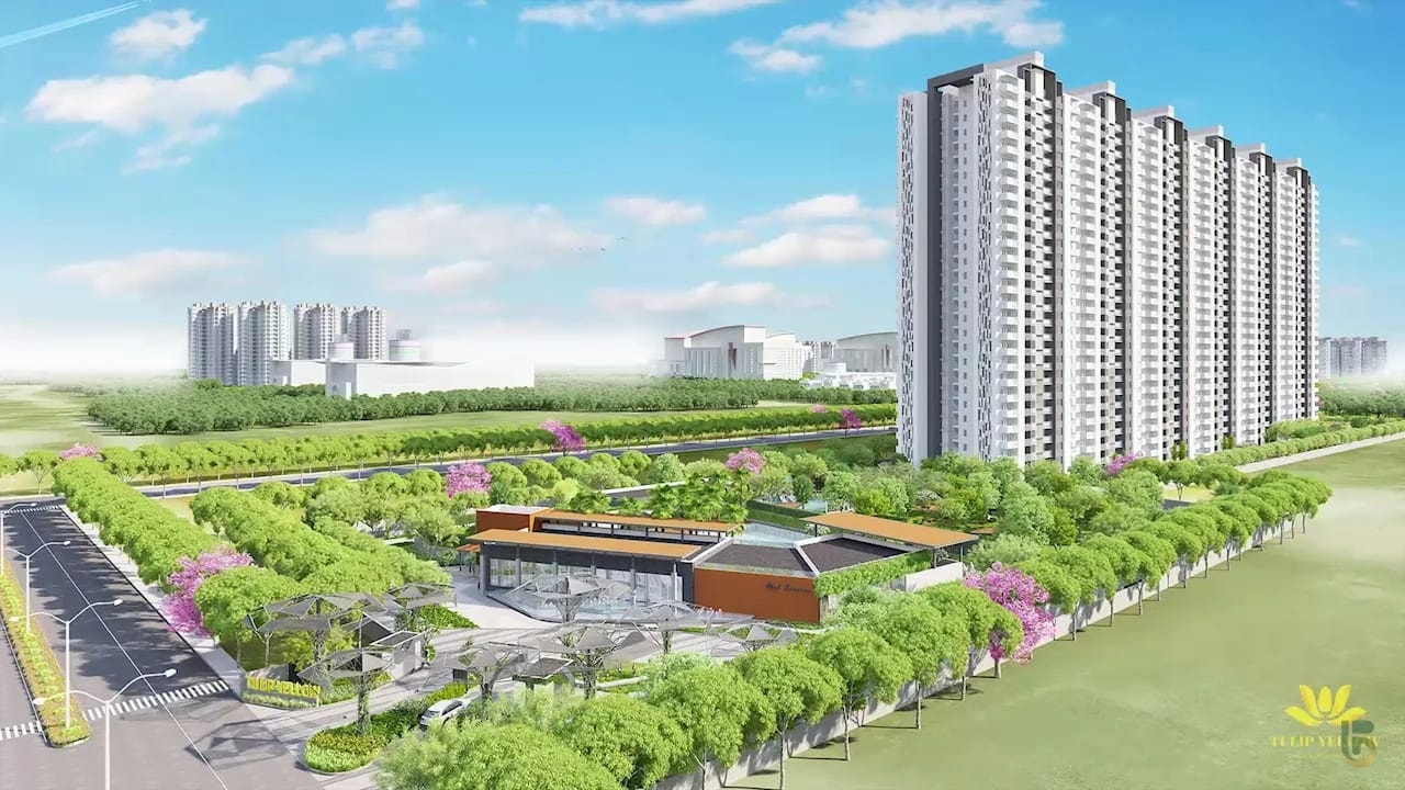 Tulip Yellow Sector 69 Gurgaon by Tulip in Gurgaon > SPR > Sector- 69 - Luxury apartments