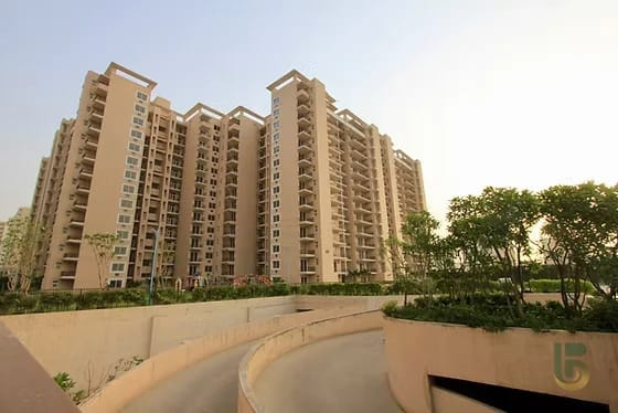Tulip Purple Sector 69 Gurgaon by Tulip in Gurgaon > SPR > Sector- 69 - Luxury apartments