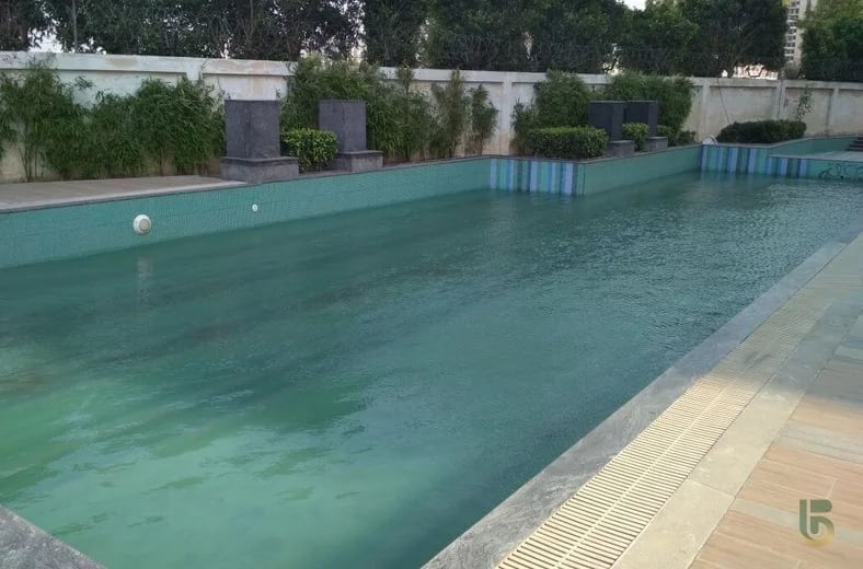 Tulip Purple Swimming Pool