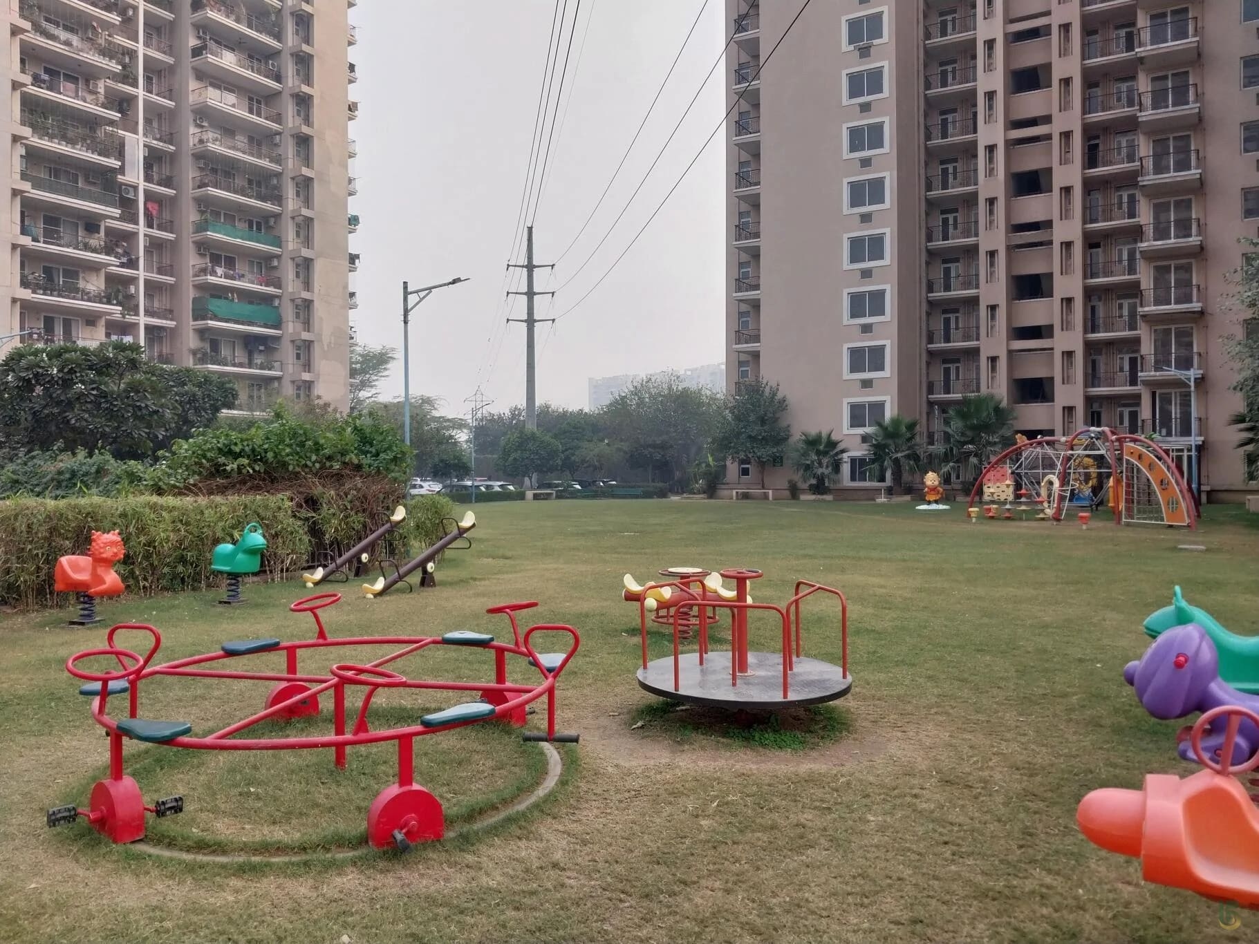 Tulip Purple Children S Play Area