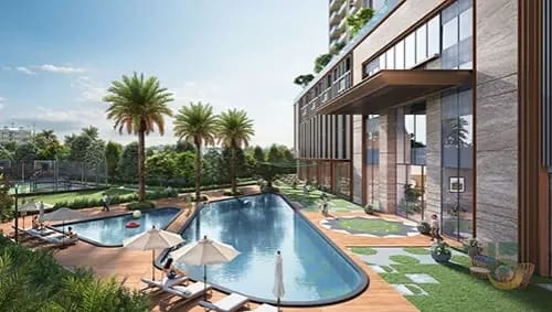Satya Levante Entry